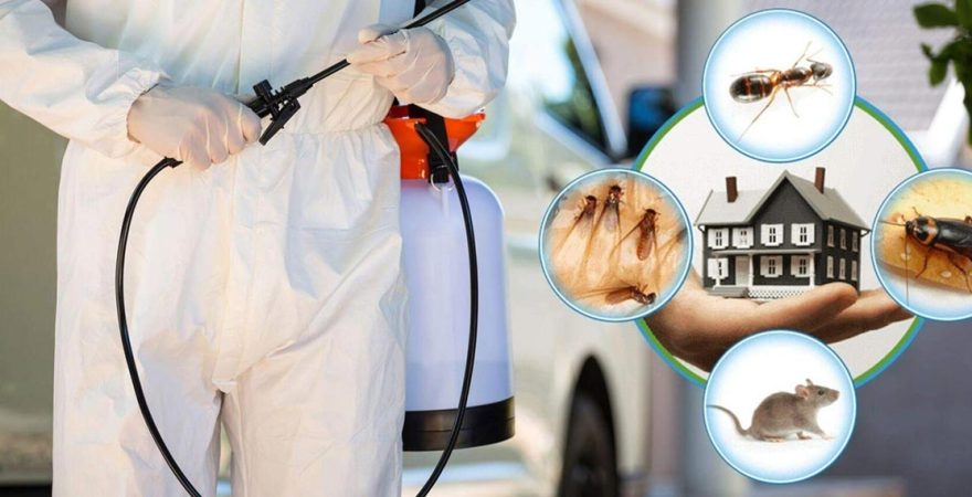 Marmara Böcek İlaçlama