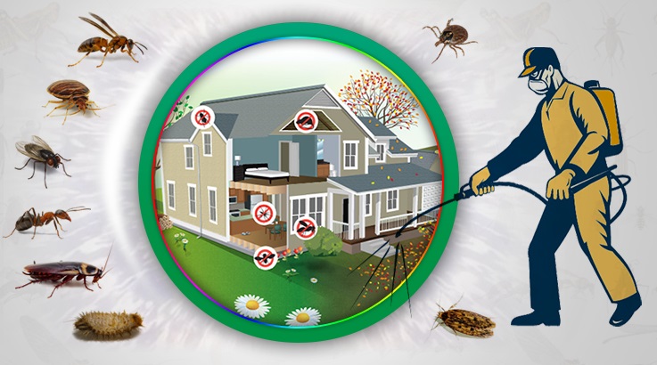 Marmara Böcek İlaçlama